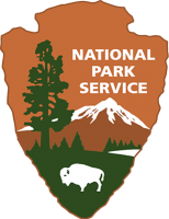 NPS